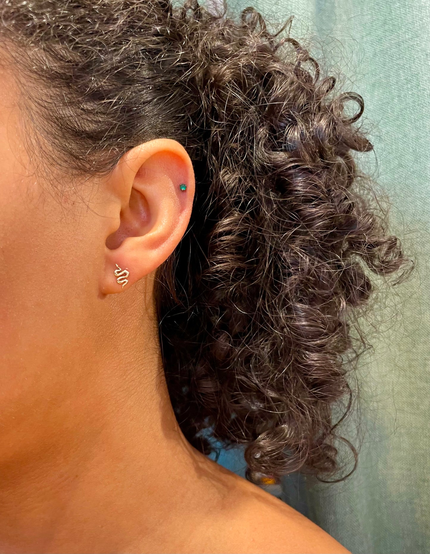 Snake Post Earrings - Bronze/Sterling