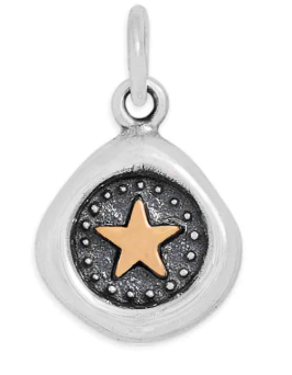 Mini Star Wax Seal Necklace - Sterling/Bronze