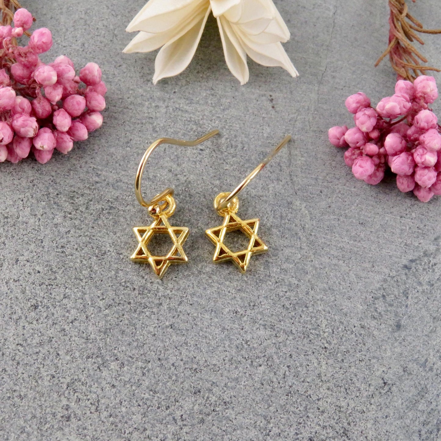 Star of David Earrings | Small Gold Star Earrings | Gold Magen David Earrings | Judaic Earrings | Gold Jewish Star Earrings | Gold Judaica
