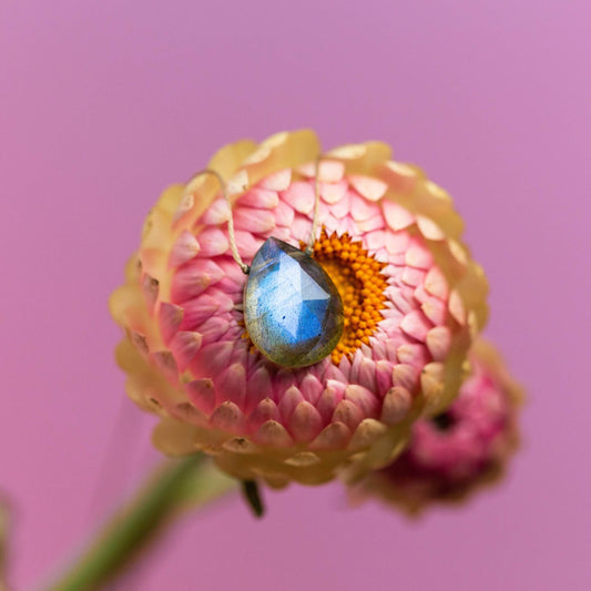 The Labradorite Luxe Necklace for Transformation by SoulKu, a blue teardrop pendant, is displayed on a pink dried flower with a yellow center against a soft pink background—a stunning handmade gemstone piece.