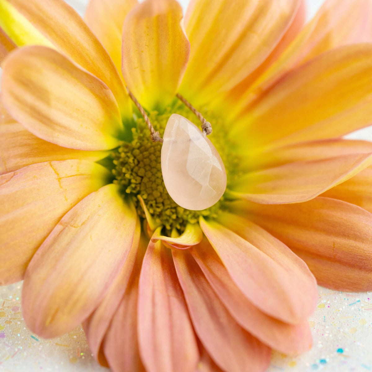 A peach-colored daisy displays the Rose Quartz Gemstone Necklace - Love - Dainty Gift Women by SoulKu, highlighting the genuine faceted teardrop gemstone near its center.