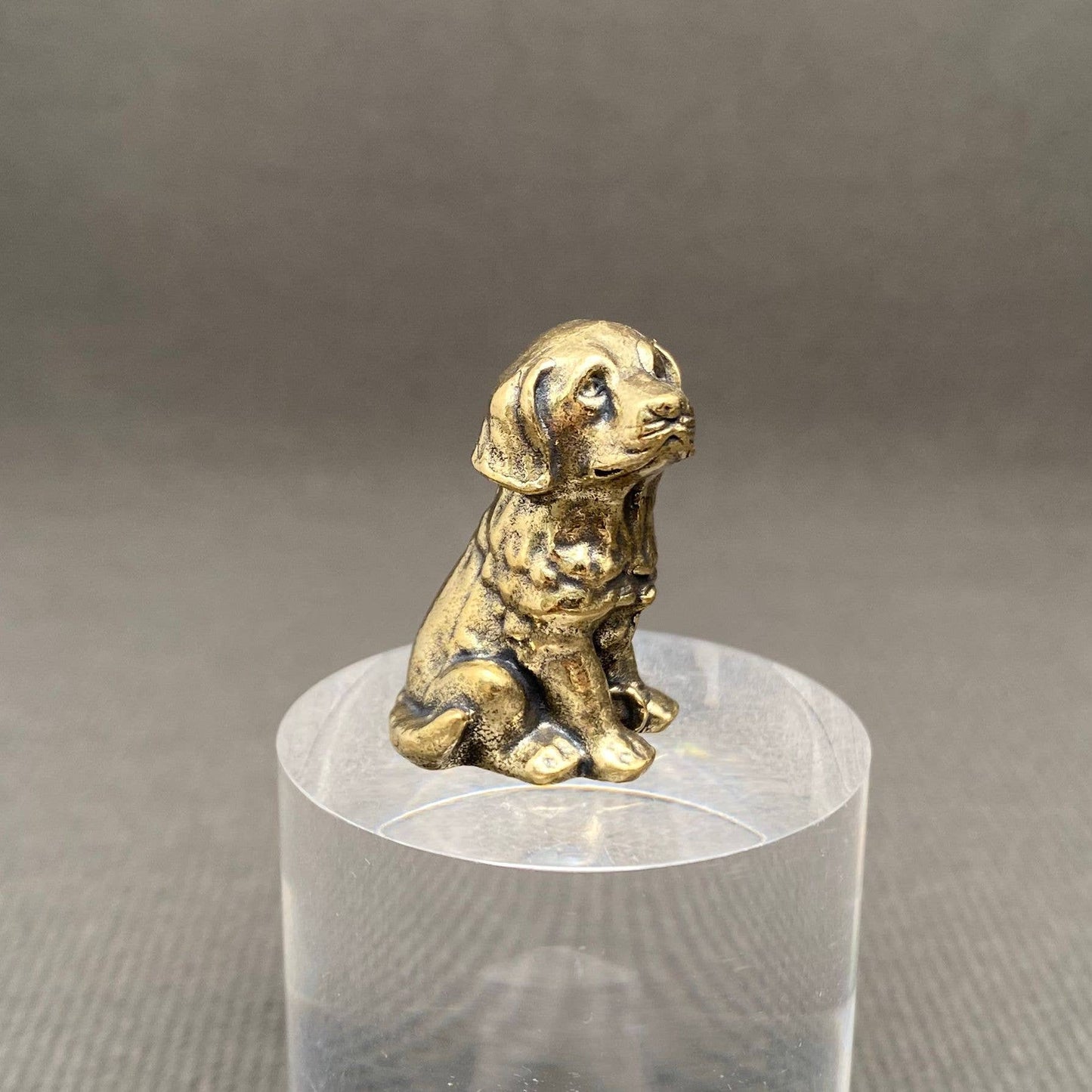Sitting Dog Brass Mini Figurine -  Desktop Ornament/Decor