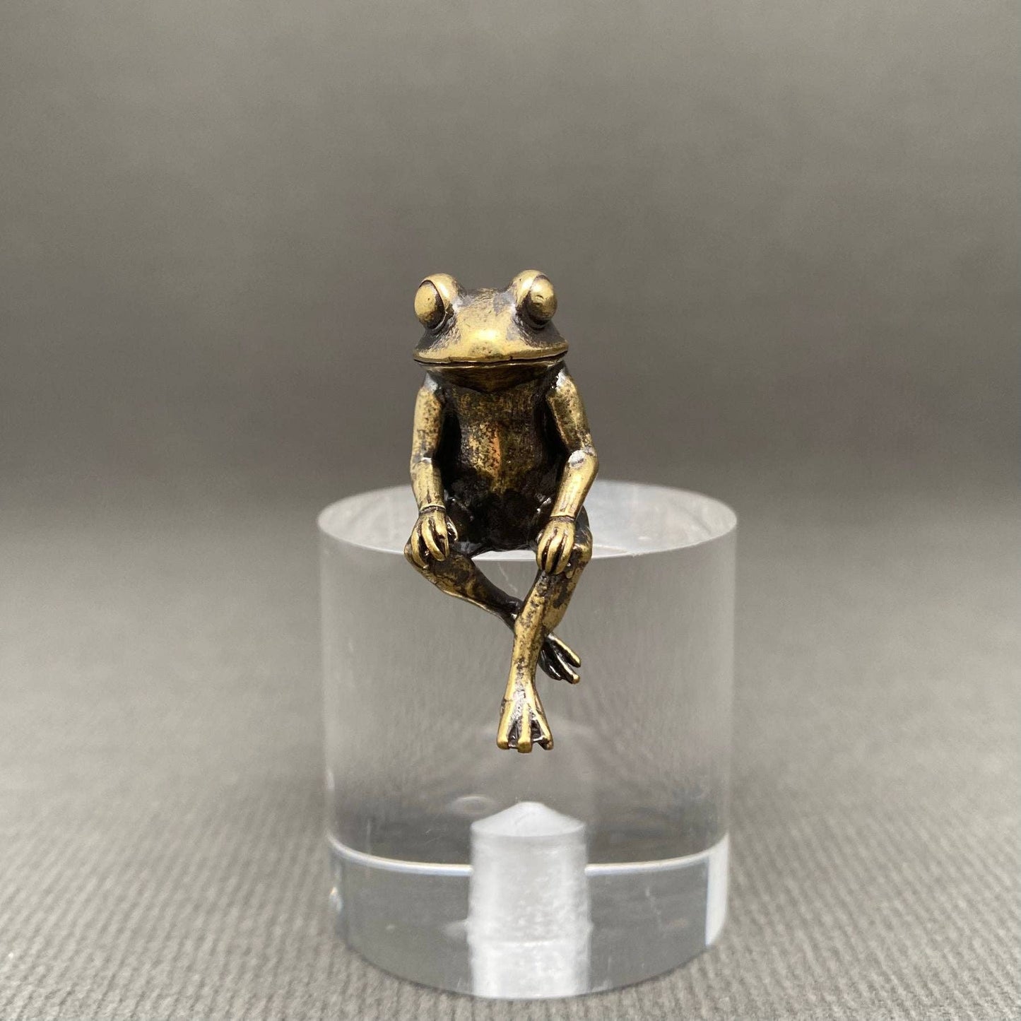 Frog Sitting on Ledge Mini Figurine - Decor/Desktop Ornament