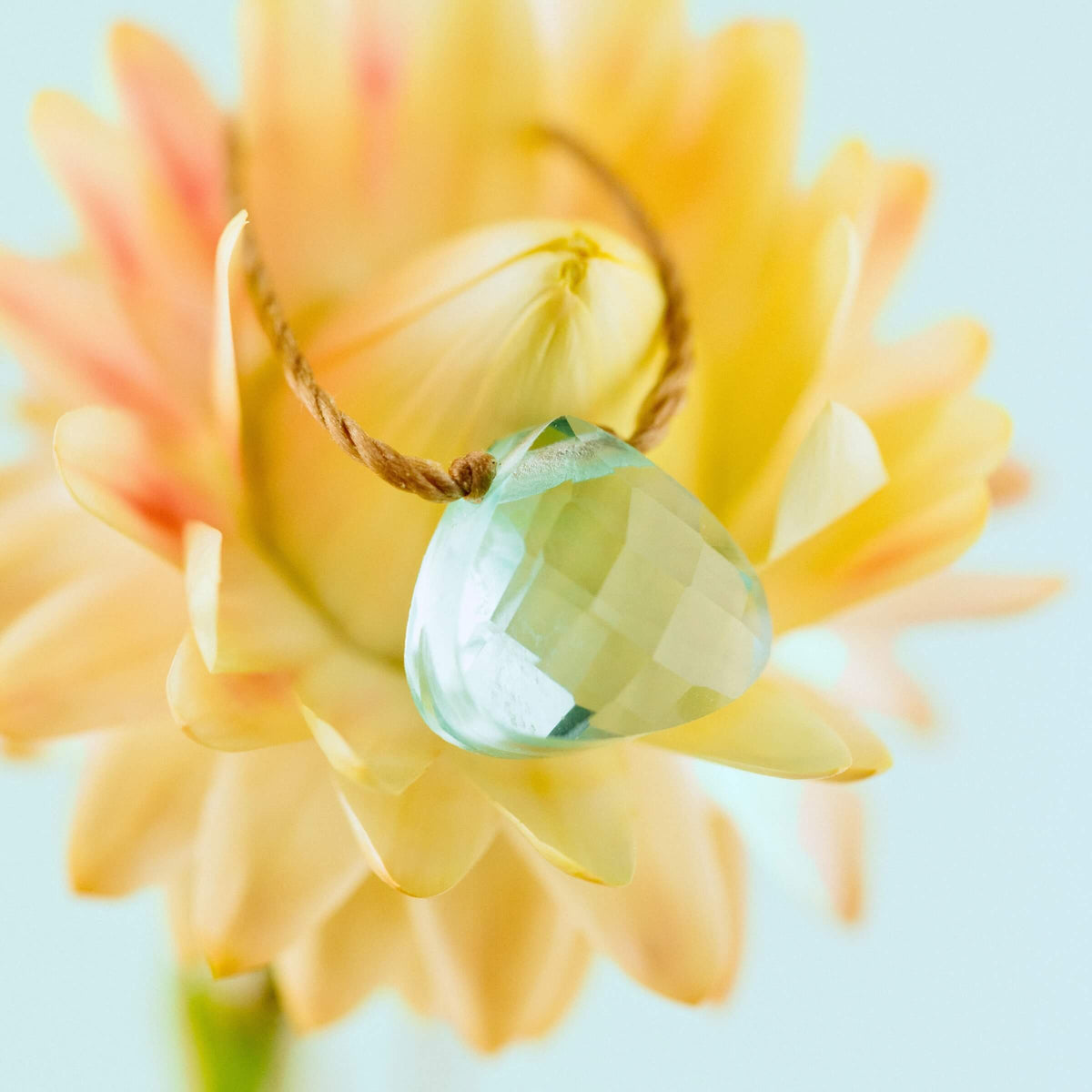 A faceted, light blue Powder Blue Crystal Necklace Gift for Breathe - Self Care pendant on a thin cord, resting on a yellow flower.