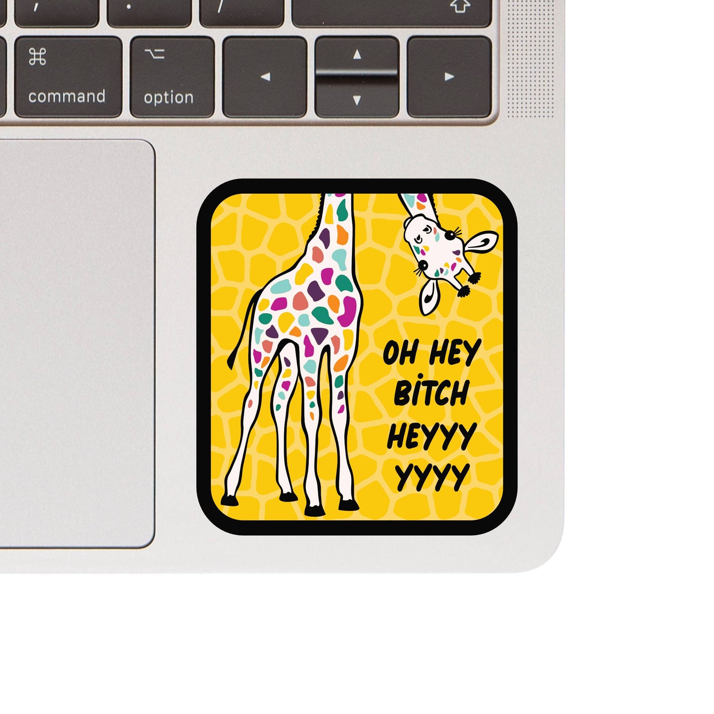 Oh Hey Bitch Sticker