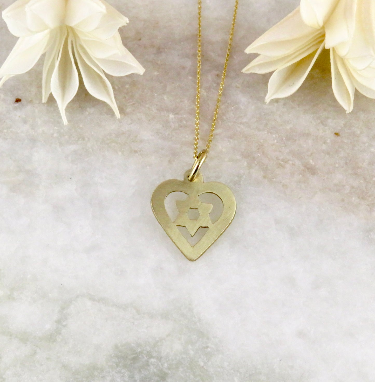 Solid Gold Star of David in Heart Necklace