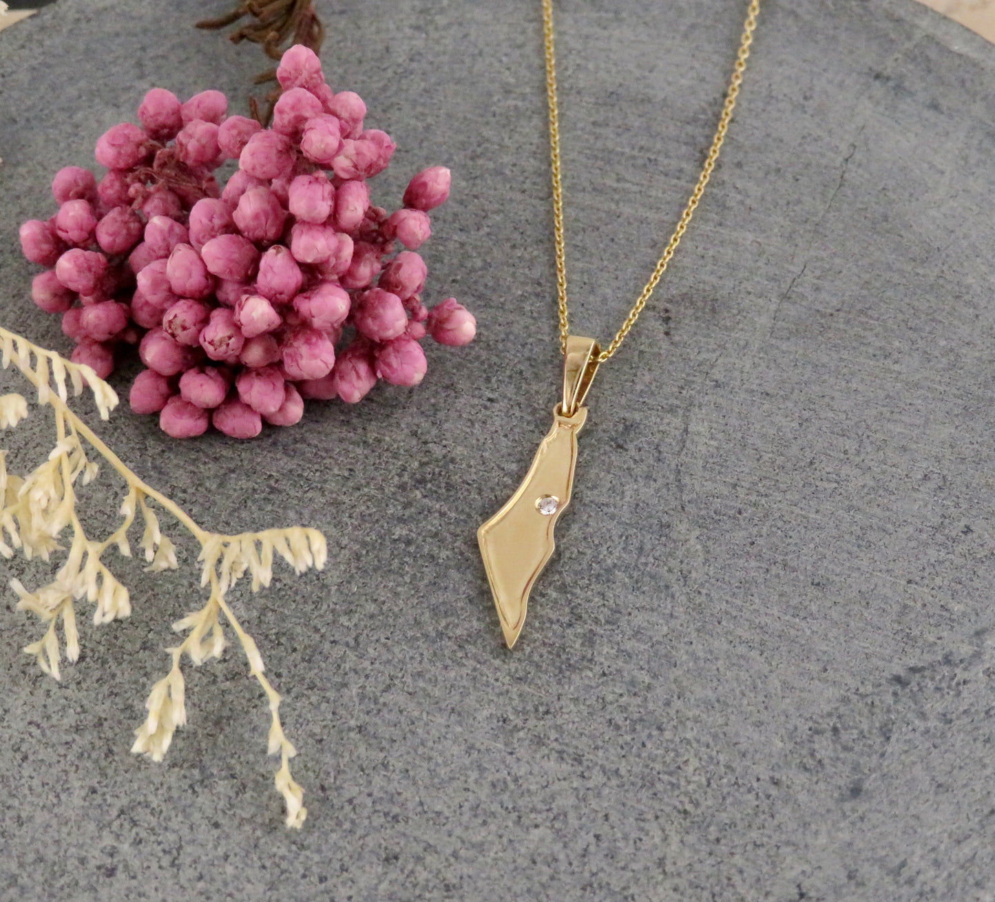 Solid Gold Israel Map Necklace with Diamond
