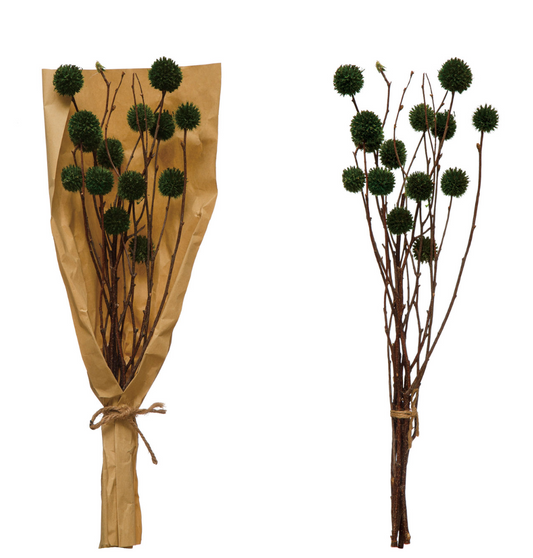 Two Dried Natural Thistle Bunch - Dark Green arrangements by Creative Co-Op on a white background—one wrapped in brown paper with twine, the other loosely tied with twine.