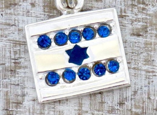Israel Flag Sterling Necklace