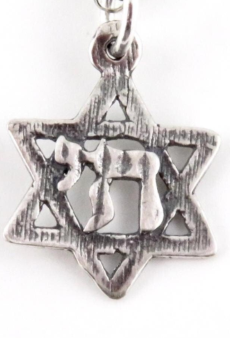 Delicate Chai in Star of David Necklace