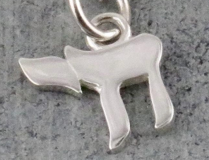 Dainty Silver Chai Necklace