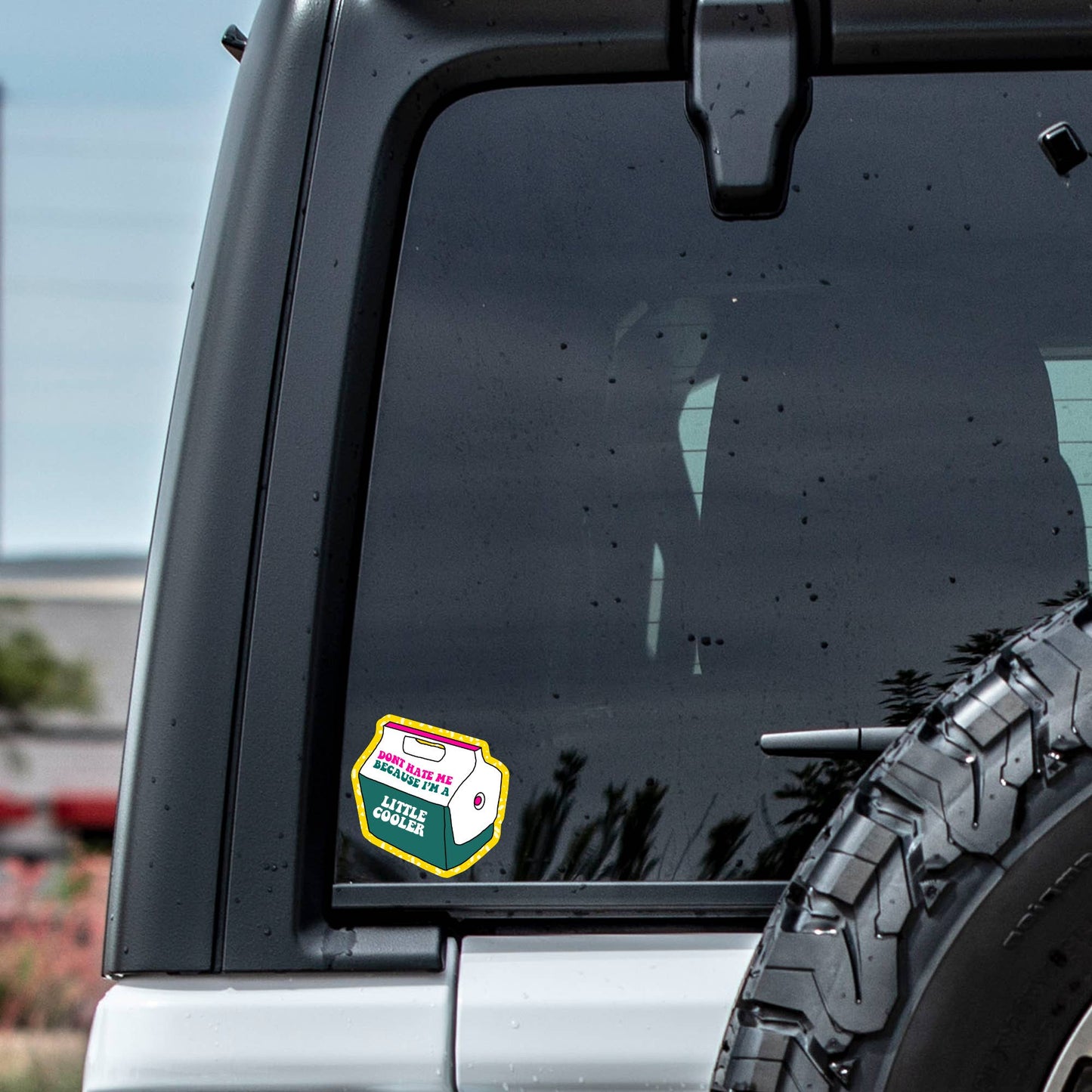 Don't Hate Me Cooler Sticker