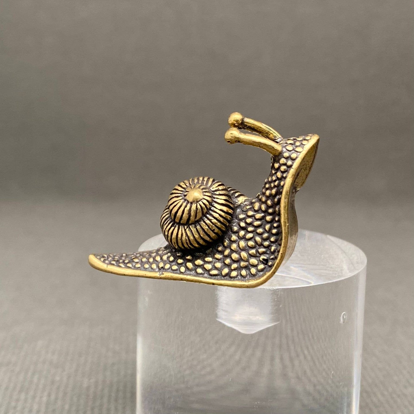 Snail Brass Mini Figurine - Desktop Ornament/Decor