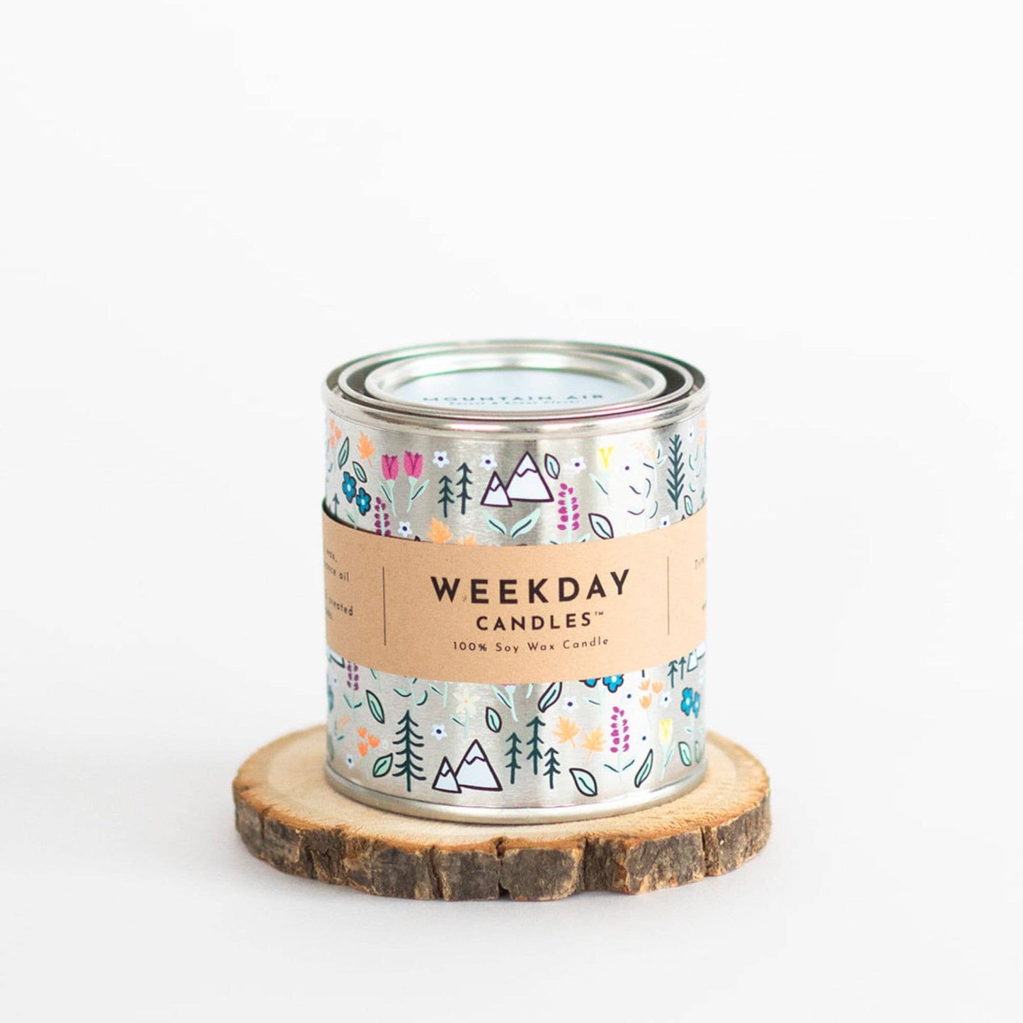 Mountain Air Paint Tin Candle