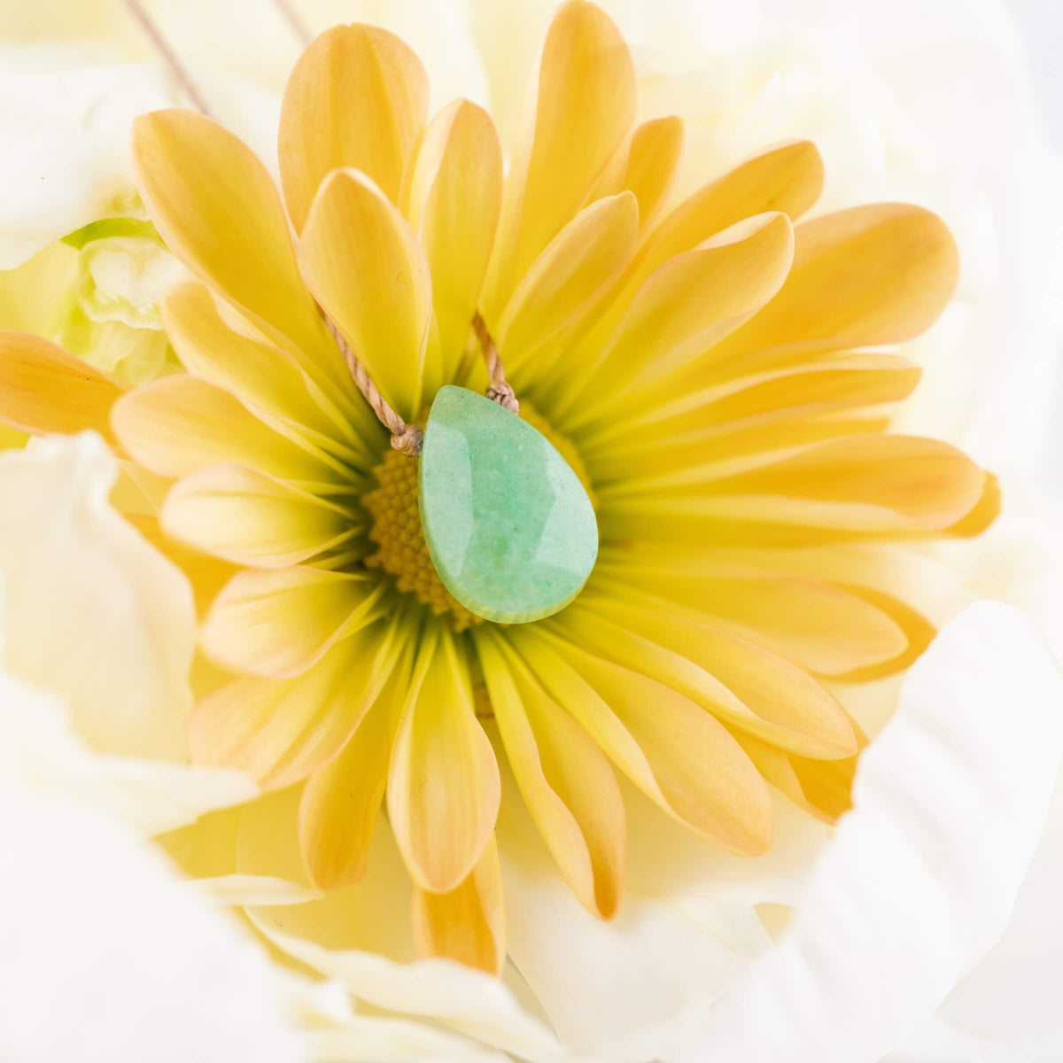 The Green Aventurine Gemstone Necklace - Healing by SoulKu glows softly on a large yellow daisy with white petals, capturing the gentle, bright light.