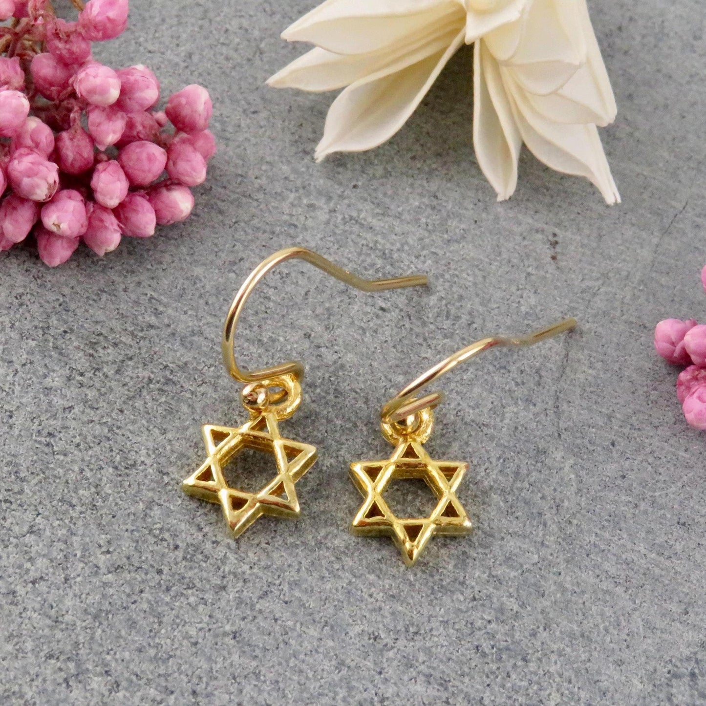 Star of David Earrings | Small Gold Star Earrings | Gold Magen David Earrings | Judaic Earrings | Gold Jewish Star Earrings | Gold Judaica