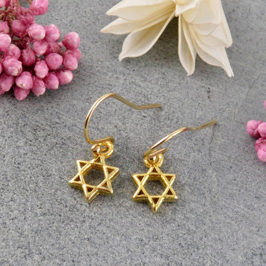 Star of David Earrings | Small Gold Star Earrings | Gold Magen David Earrings | Judaic Earrings | Gold Jewish Star Earrings | Gold Judaica